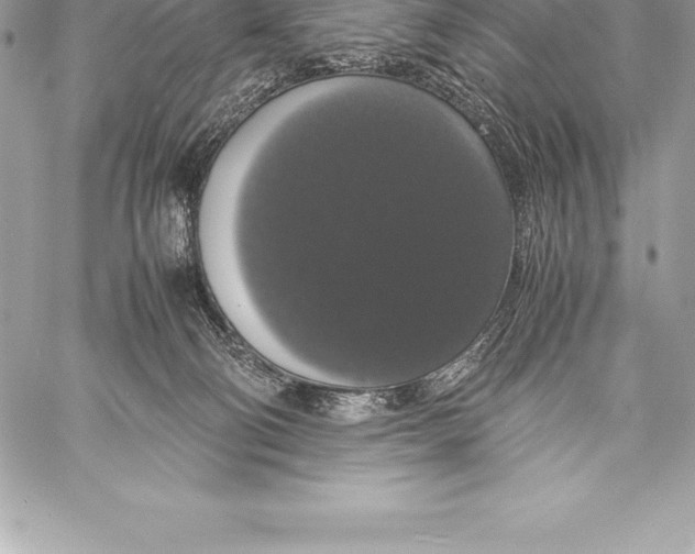 X0000058100130200510171228