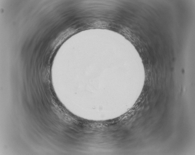X0000058100146200510171227