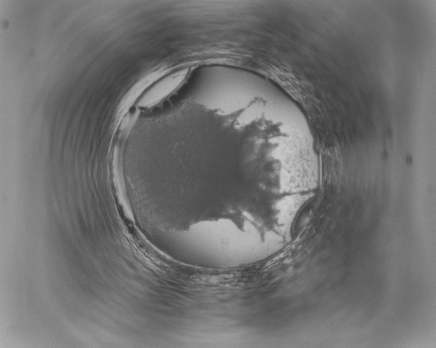 X0000058100147200510171227