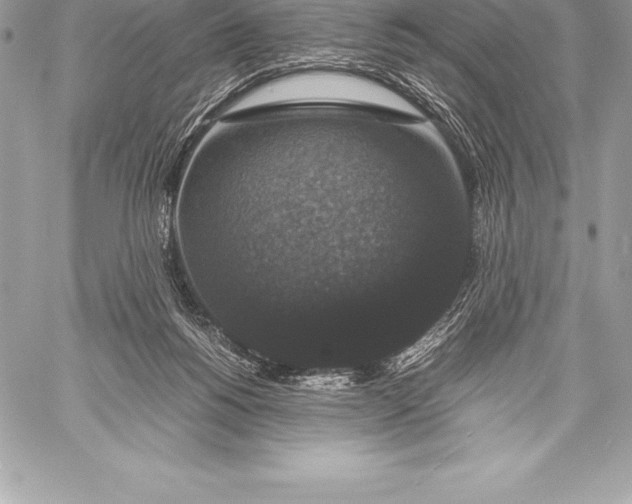 X0000058100168200510171227