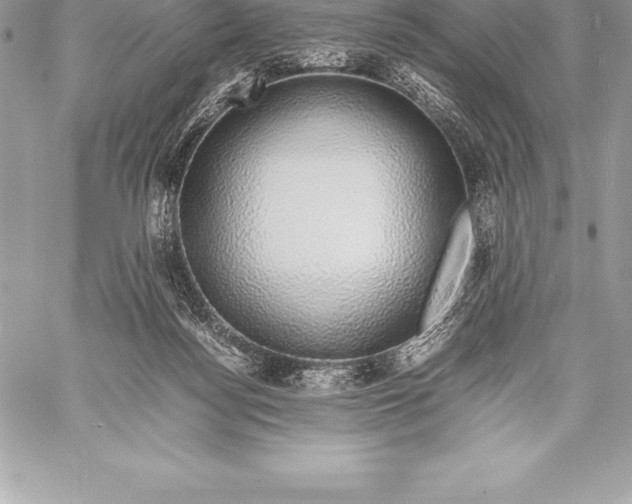 X0000058100172200510171228