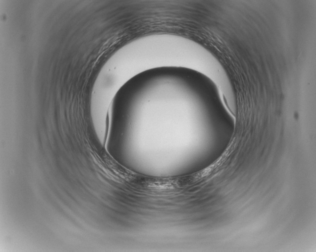 X0000058100175200510171228