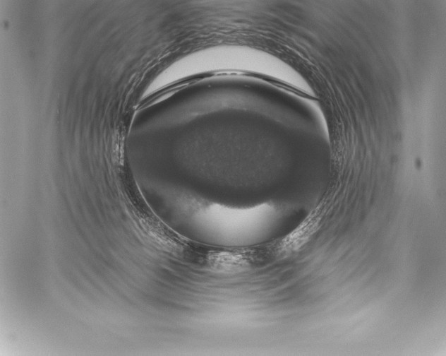 X0000058100180200510171228