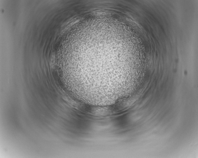 X0000058100189200510171228