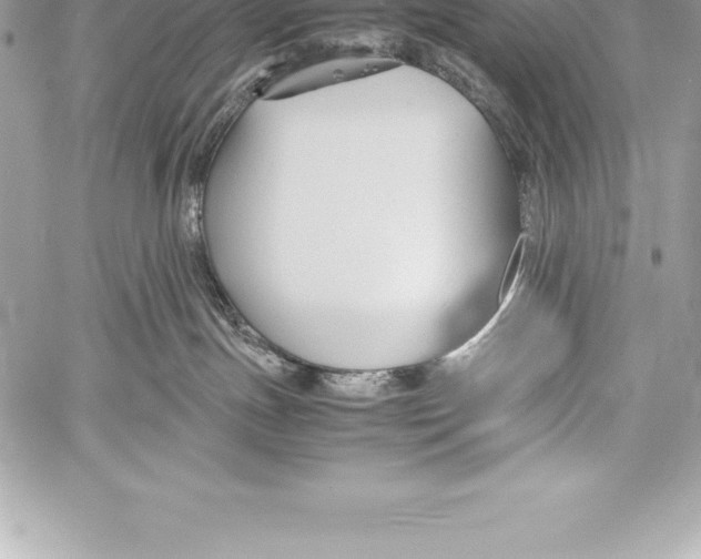 X0000058100191200510171228
