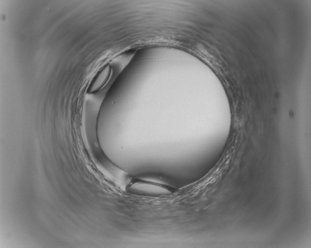 X0000058100193200510171227