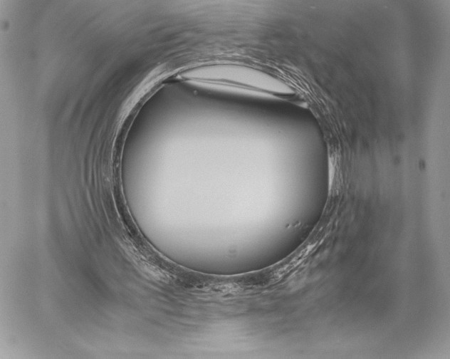 X0000058100195200510171227
