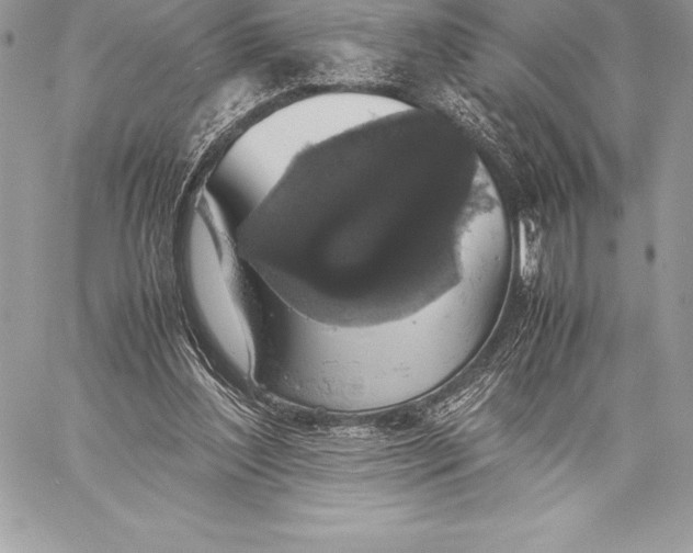 X0000058100204200510171227