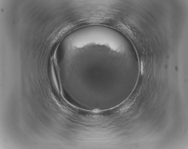 X0000058100205200510171227