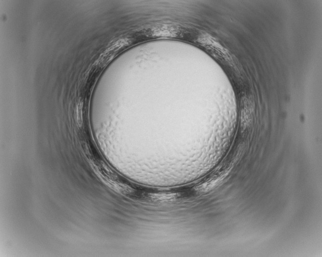 X0000058100213200510171227