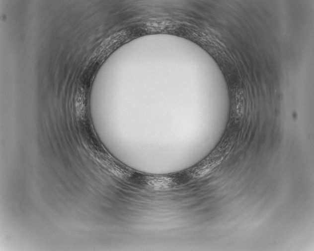 X0000058100226200510171227