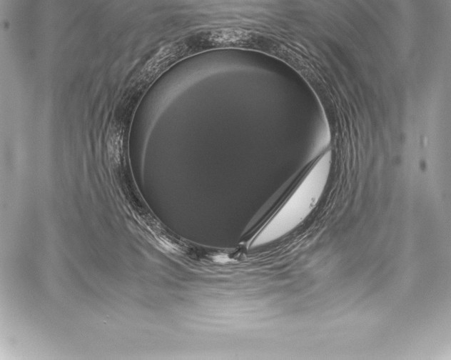 X0000058100227200510171226