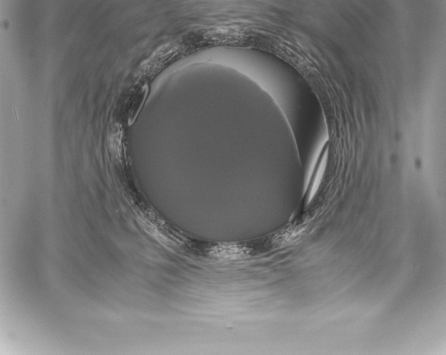 X0000058100231200510171226