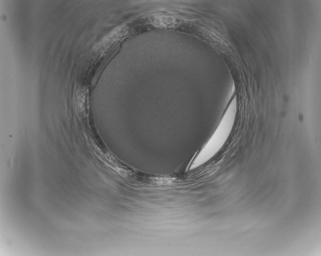 X0000058100233200510171226
