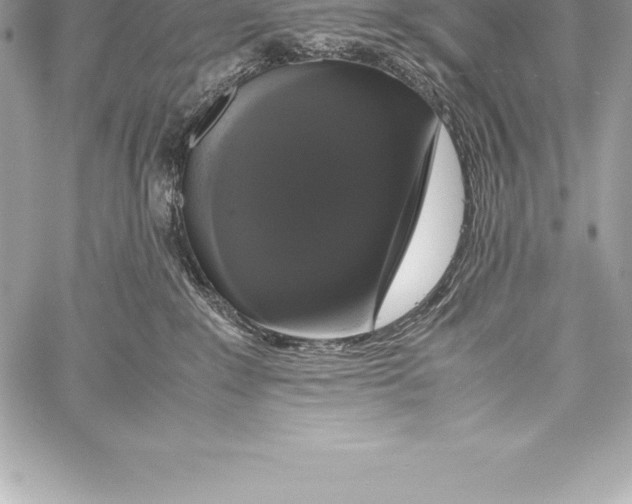 X0000058100235200510171226