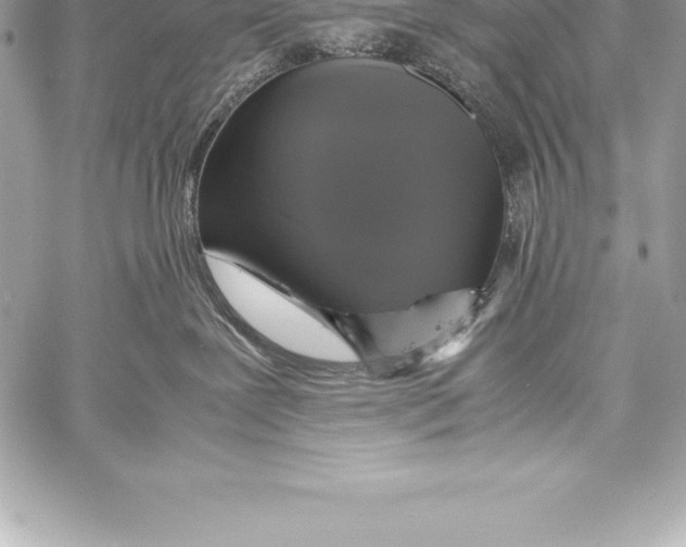 X0000058100239200510171226