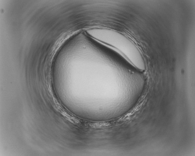 X0000058100241200510171225