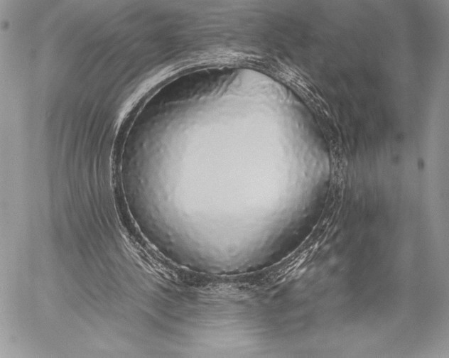 X0000058100244200510171226