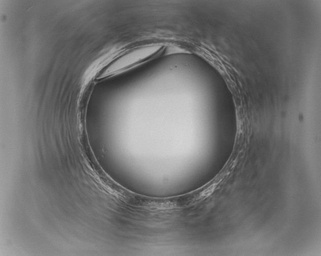 X0000058100245200510171226