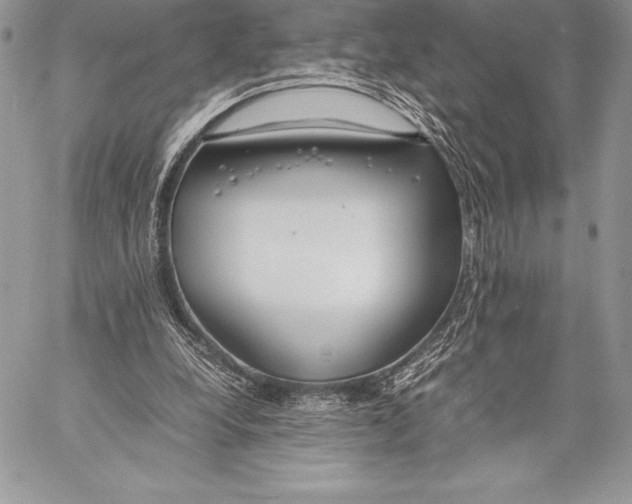 X0000058100248200510171226
