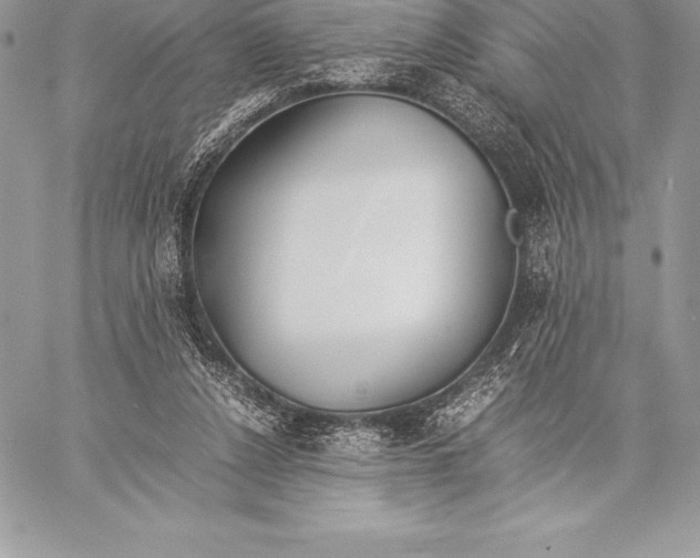 X0000058100256200510171226