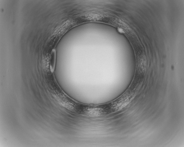 X0000058100268200510171226