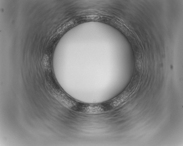 X0000058100270200510171226
