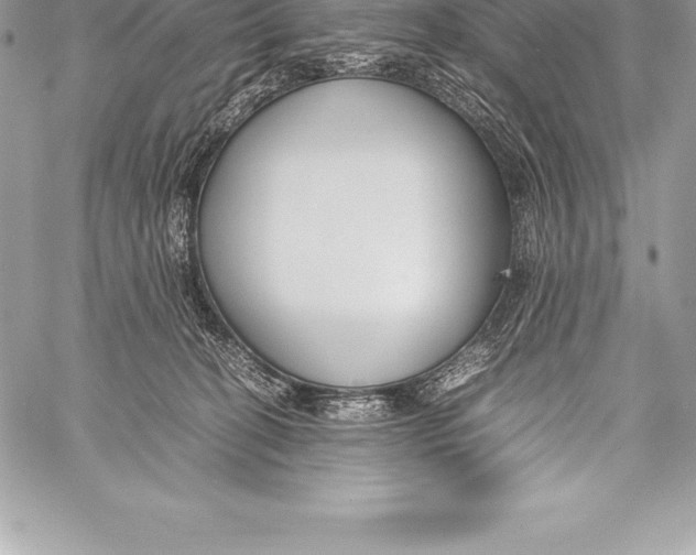 X0000058100274200510171226