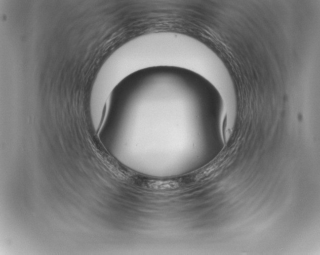 X0000058100277200510171226