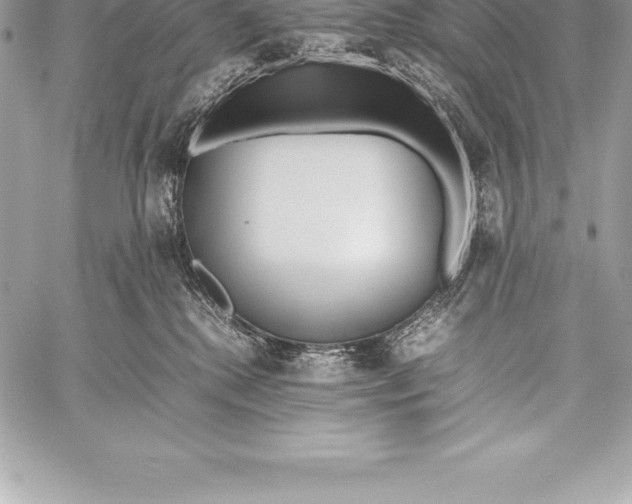 X0000058100280200510171226