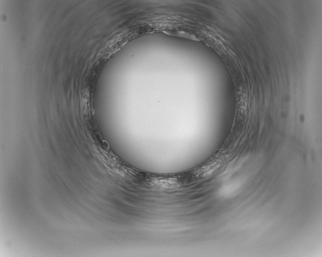 X0000058100283200510171226