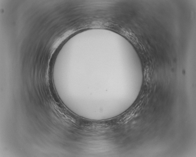 X0000058100292200510171225