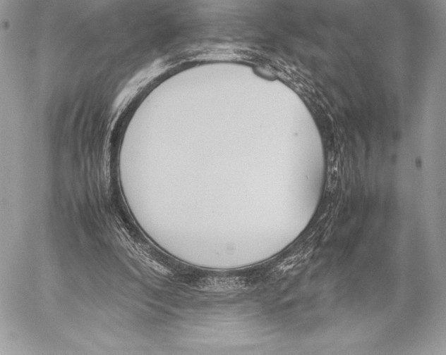 X0000058100296200510171225