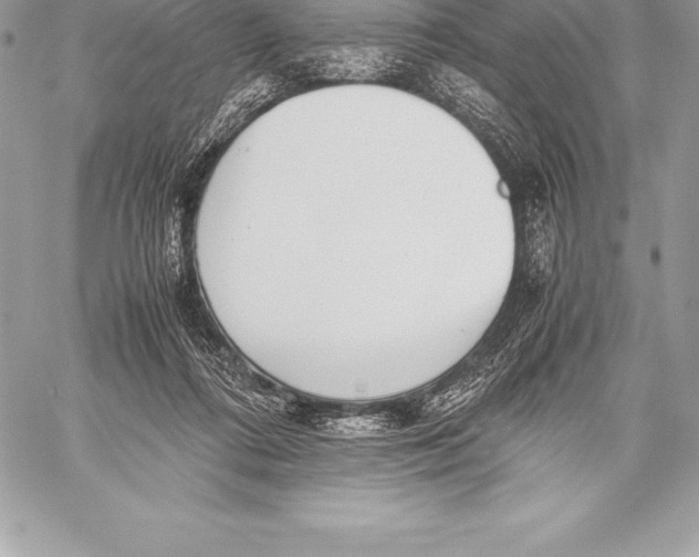 X0000058100312200510171225