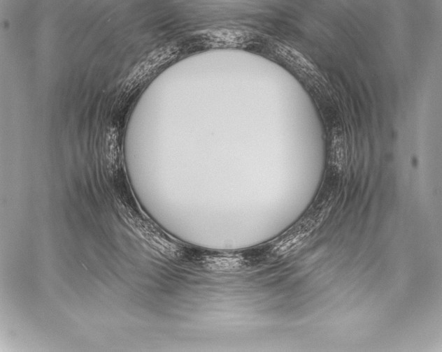X0000058100318200510171225