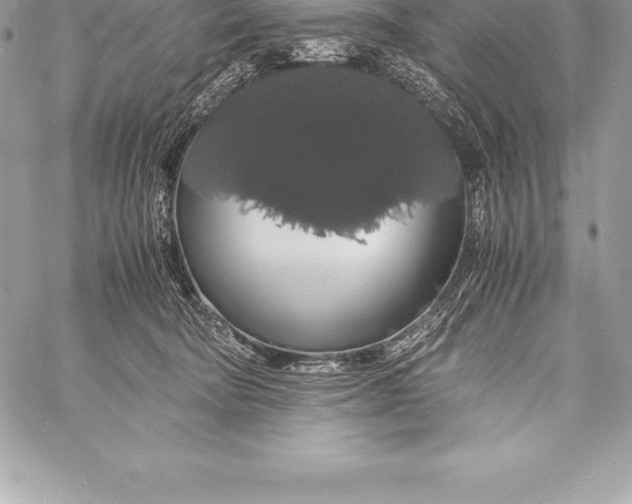 X0000058100322200510171225