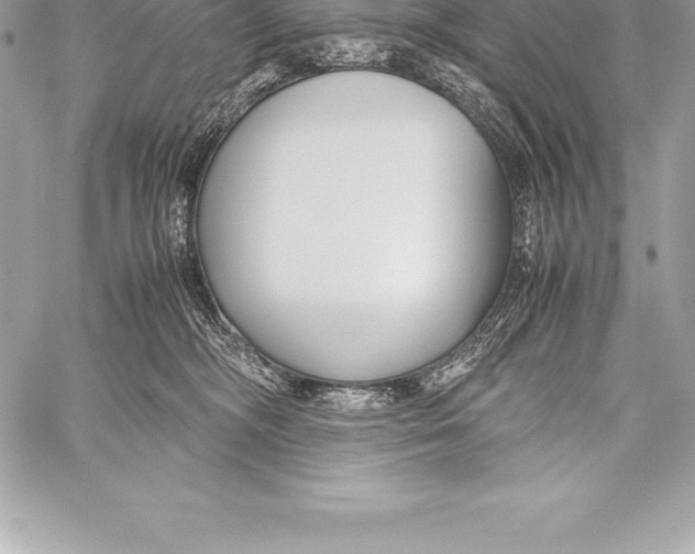 X0000058100326200510171225