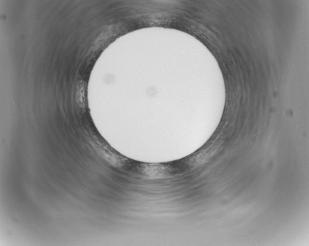 X0000058100336200510171225