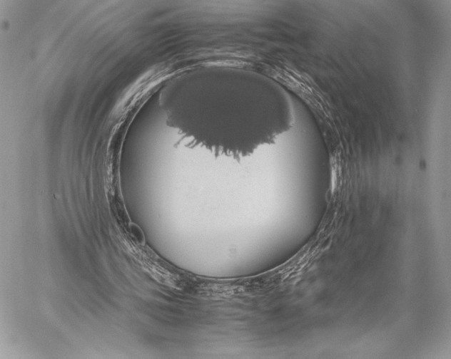 X0000058100339200510171224
