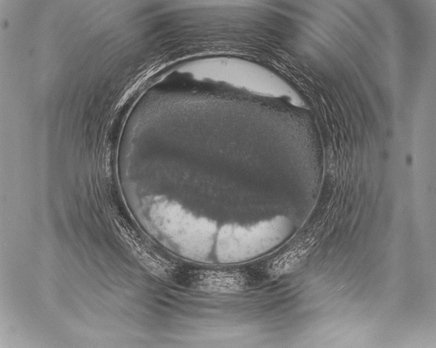 X0000058100347200510171224