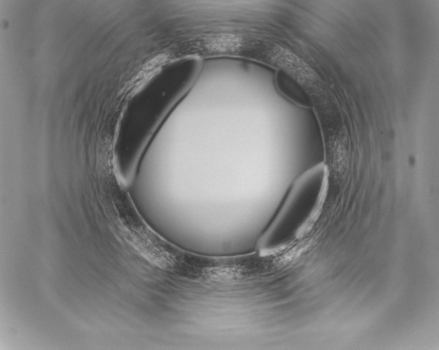 X0000058100356200510171224