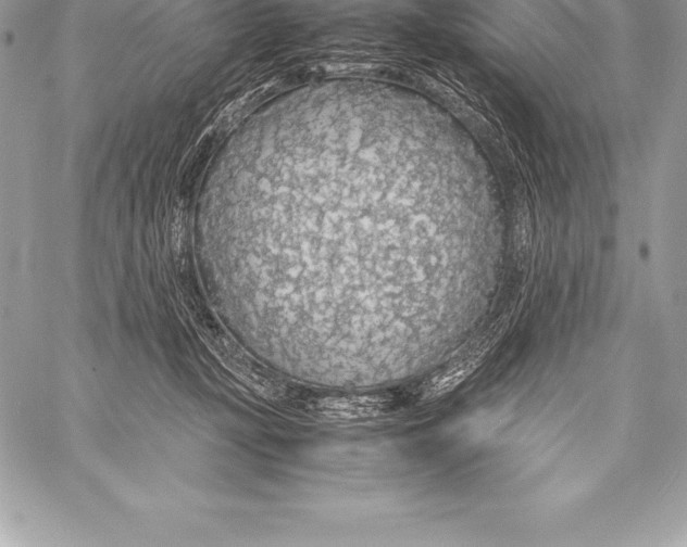 X0000058100367200510171224