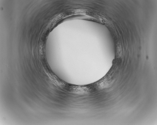 X0000058100379200510171225