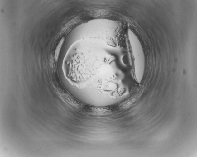 X0000058100380200510171225