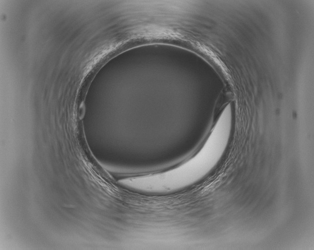 X0000058100391200510171224