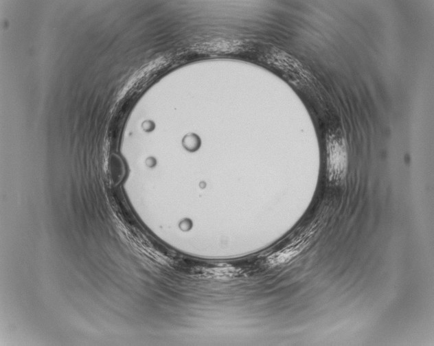 X0000058100396200510171224