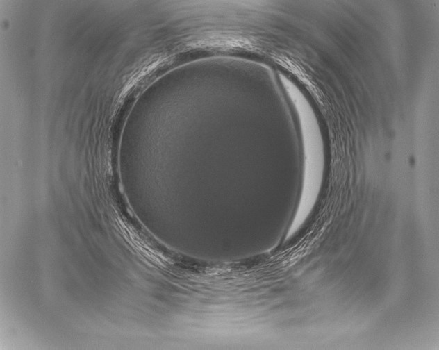 X0000058100399200510171224