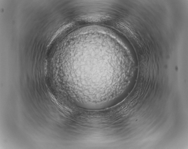 X0000058100400200510171224