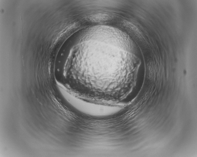 X0000058100404200510171223
