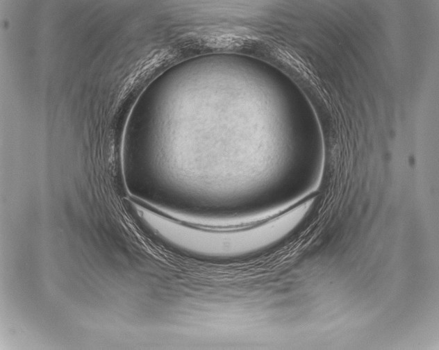 X0000058100407200510171223